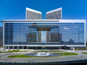 Senior Management Representation in LA | Law Office of Brian Y. Shirazi