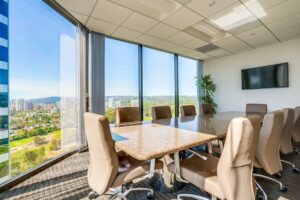 Senior Management Representation in LA | Law Office of Brian Y. Shirazi