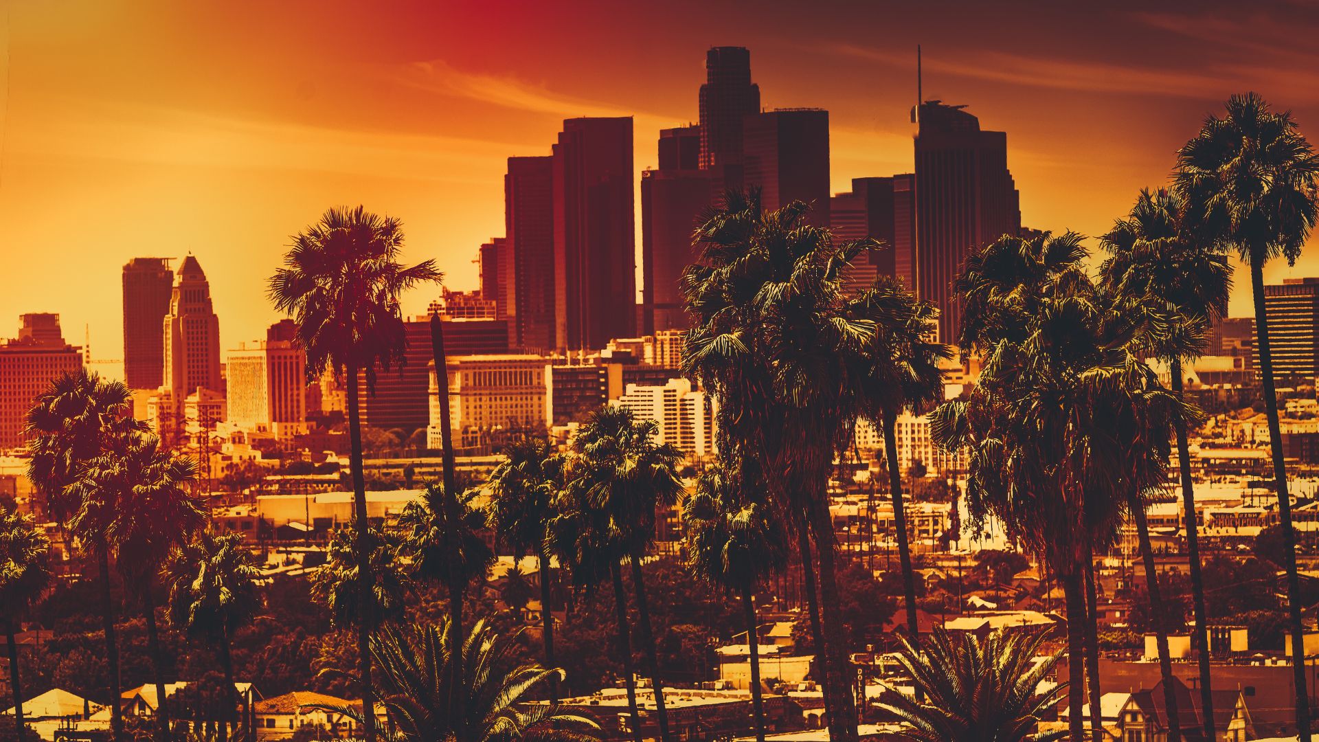 Los Angeles | Law Office of Brian Y. Shirazi