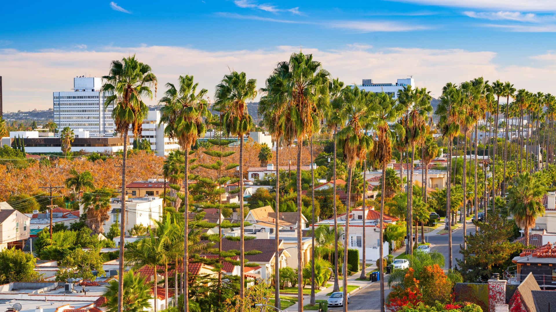 Employment Lawyer in Beverly Hills | Law Office of Brian Y. Shirazi, PC