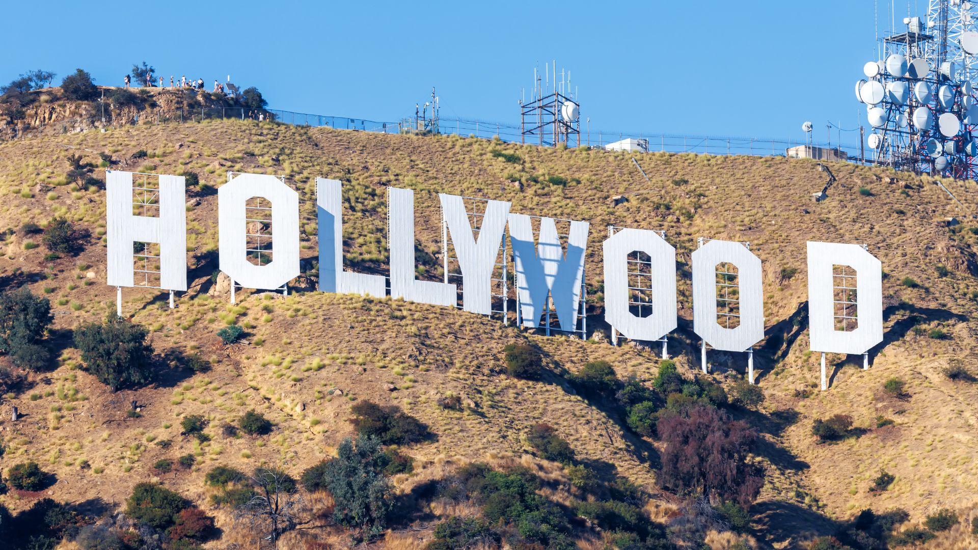 Employment Lawyer in Hollywood | Law Office of Brian Y. Shirazi, PC