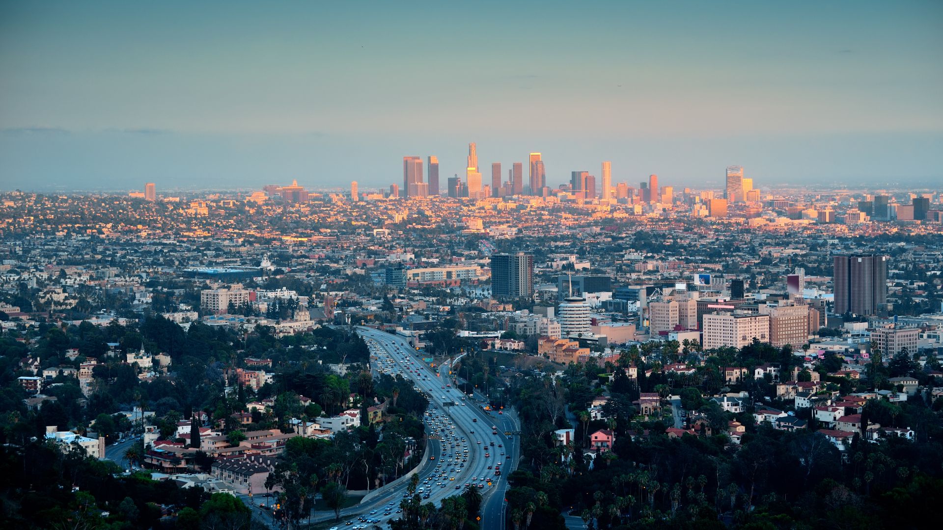 Employment Lawyer in Los Angeles | Law Office of Brian Y. Shirazi, PC