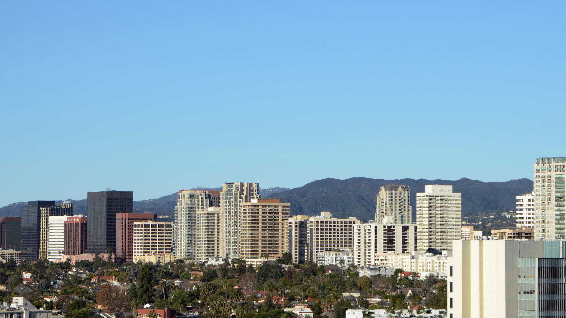 Employment Lawyer in Westwood | Law Office of Brian Y. Shirazi, PC