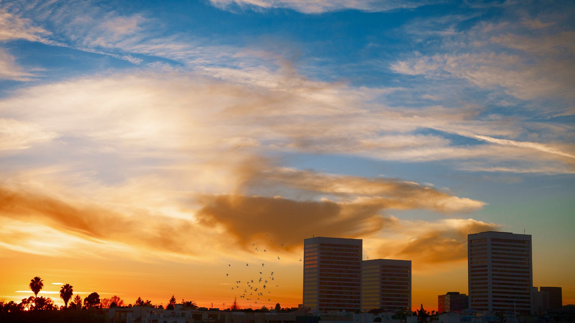 Employment Lawyer in Westwood | Law Office of Brian Y. Shirazi, PC