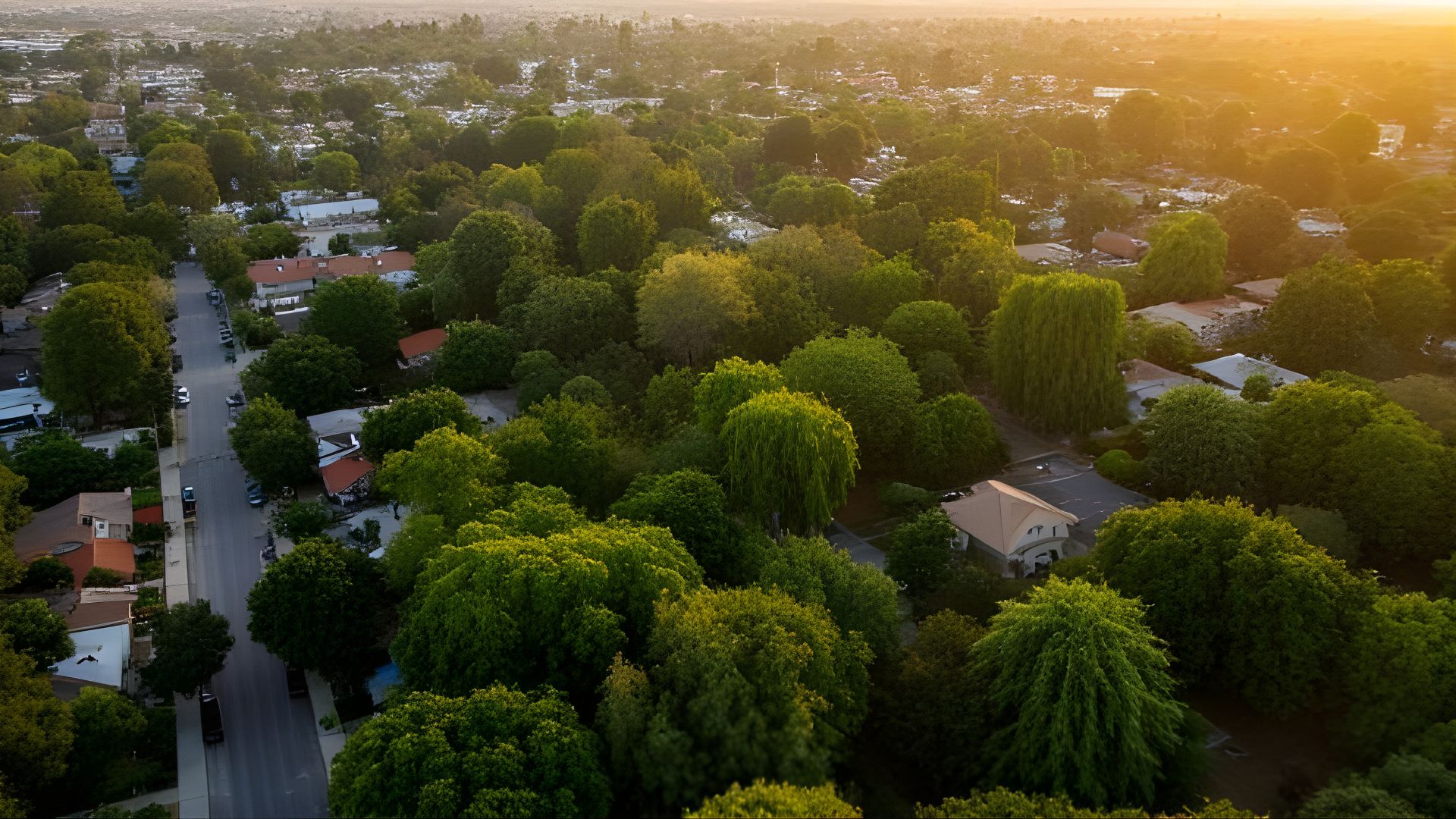 Employment Lawyer in Hancock Park | Law Office of Brian Y. Shirazi, PC